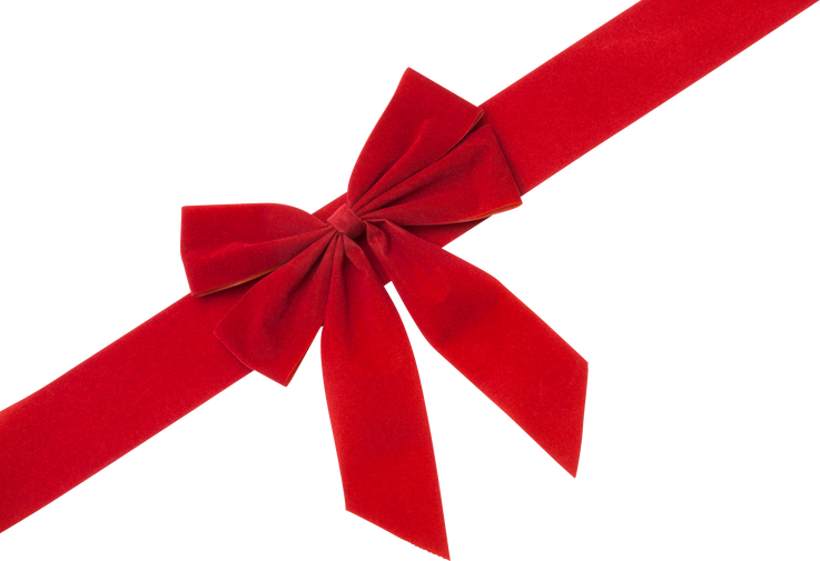 Red Christmas Bow